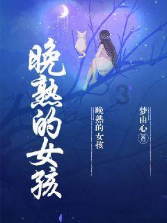 尉氏县小陈乡开展禁燃禁放烟花爆竹宣传活动